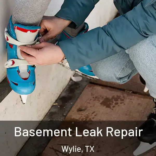  Basement Leak Repair Wylie, TX