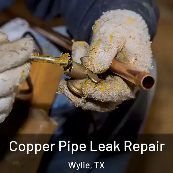  Copper Pipe Leak Repair Wylie, TX