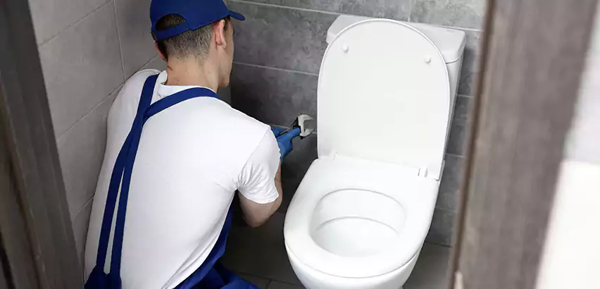 Toilet Lid Replacement in Wylie