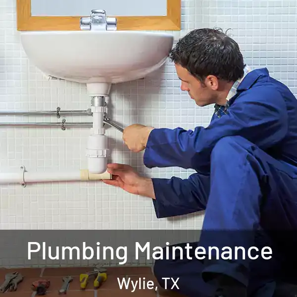  Plumbing Maintenance Wylie, TX