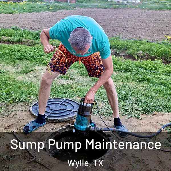  Sump Pump Maintenance Wylie, TX
