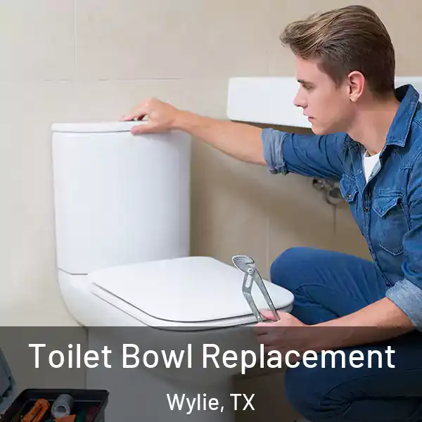  Toilet Bowl Replacement Wylie, TX