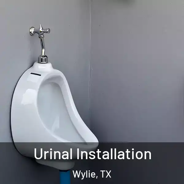  Urinal Installation Wylie, TX