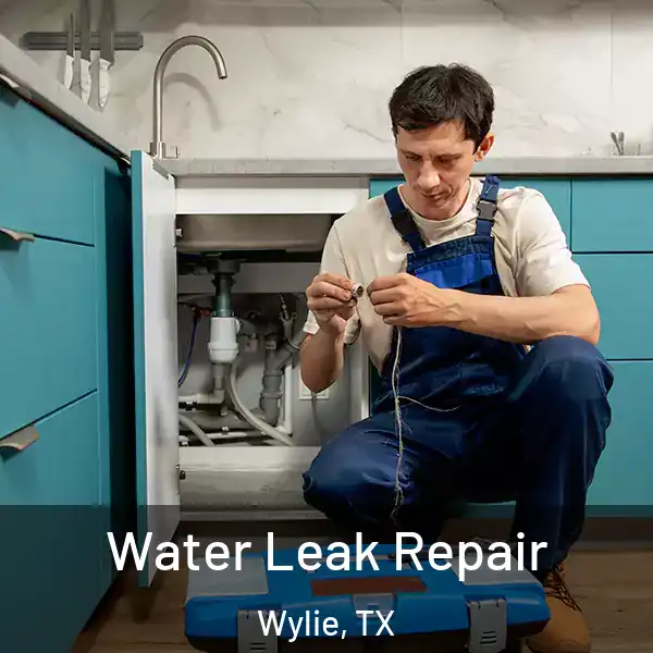  Water Leak Repair Wylie, TX